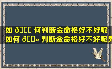 如 🐈 何判断金命格好不好呢「如何 🌻 判断金命格好不好呢男生」